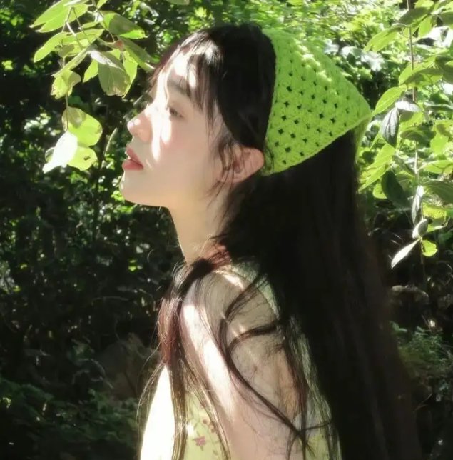 杏苑风流 封面