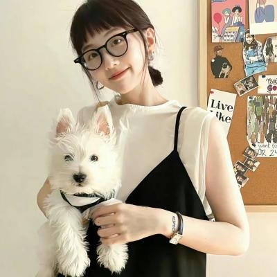 智勇新警界粤语 封面